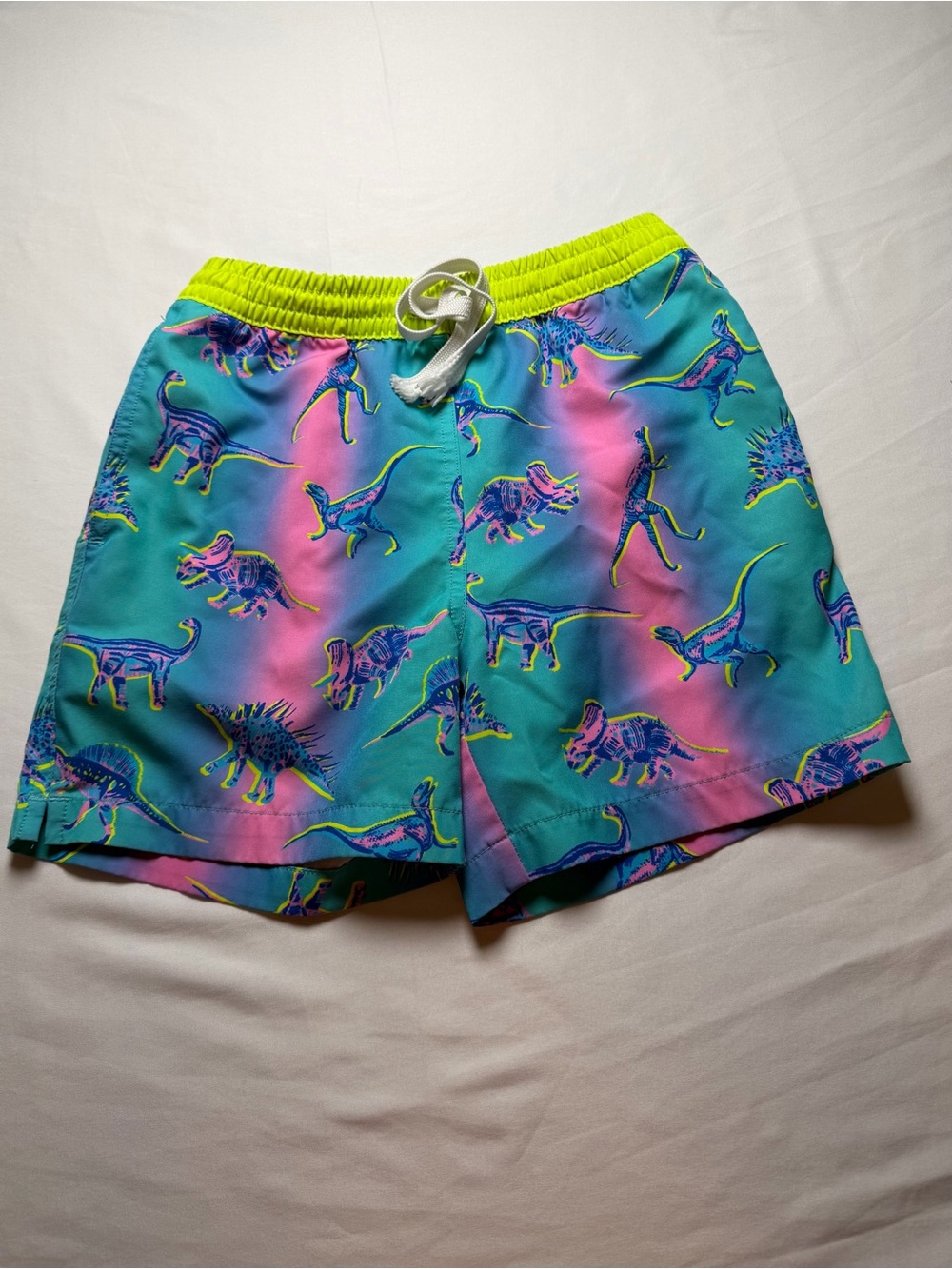 chubbies Neon Green Waist Teal-Pink Dinosaur Swim Shorts